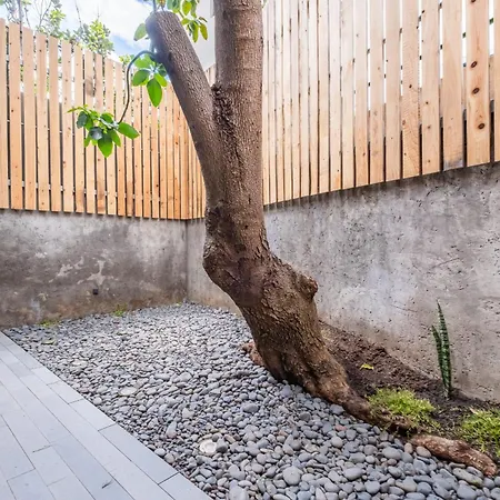 The 21 By Homie * Ribeira Brava